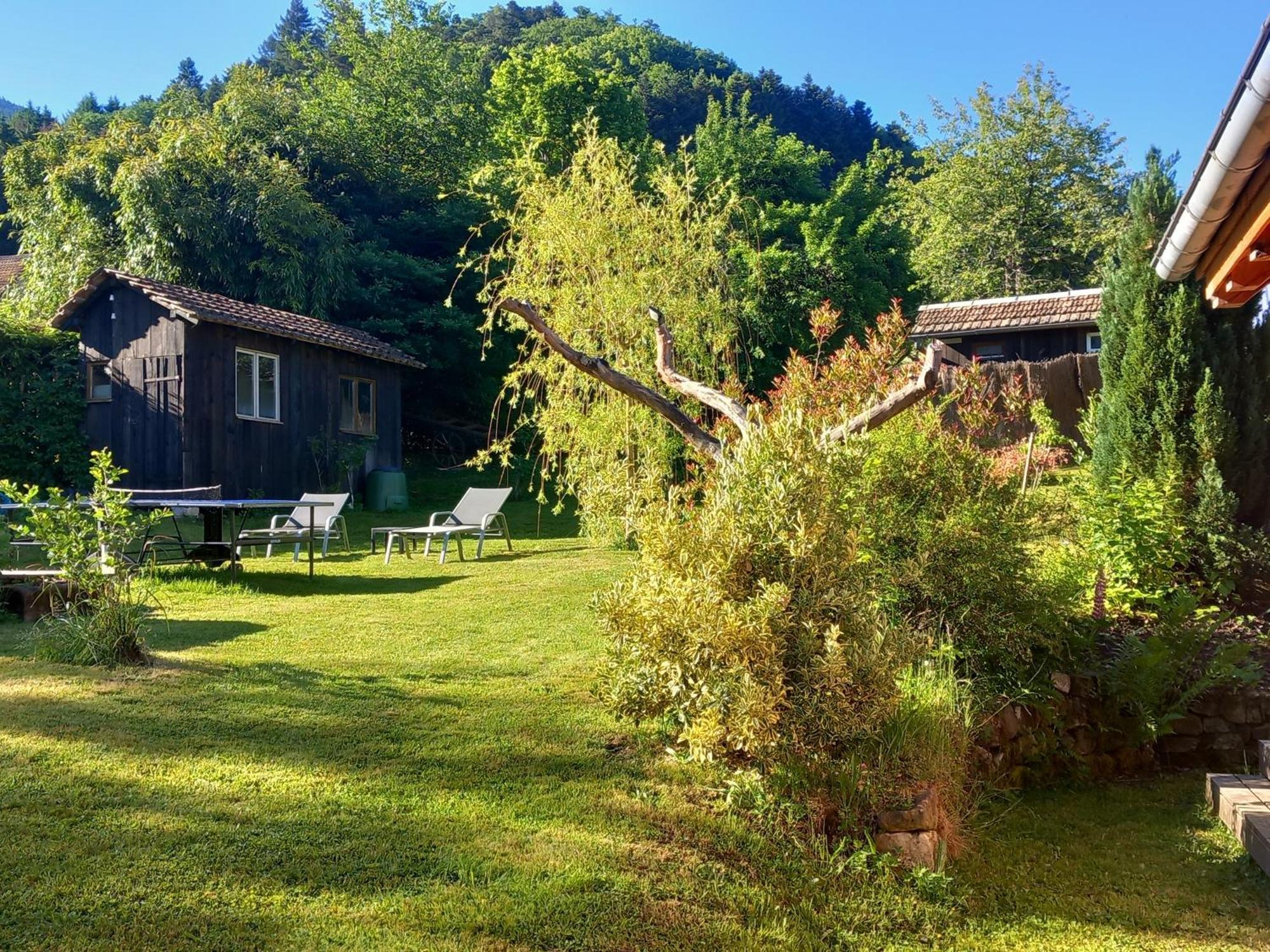 Apartamento Cocon de St Pierre Sainte-Marie-aux-Mines Exterior foto